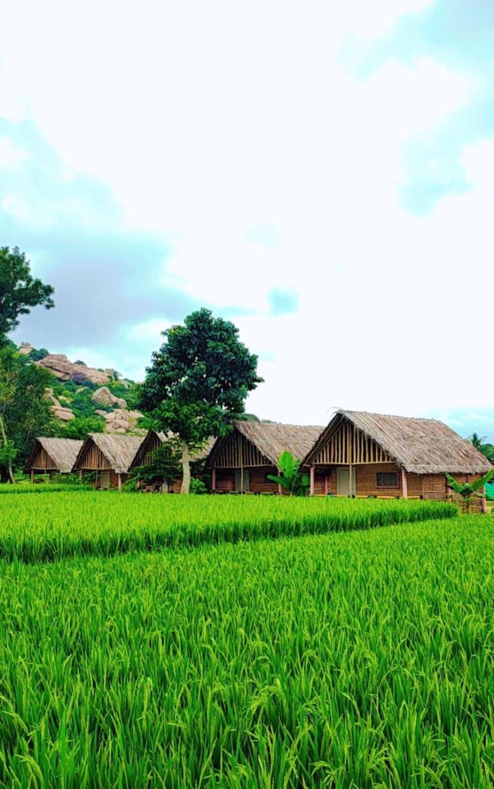 Om Shanti Om Home Stay & Cafe Hampi Eksteriør bilde