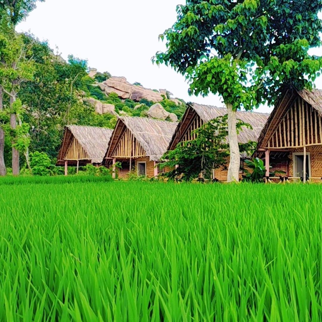 Om Shanti Om Home Stay & Cafe Hampi Eksteriør bilde